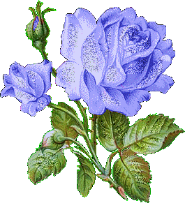 Blue Rose Glitter Graphic Flowers 