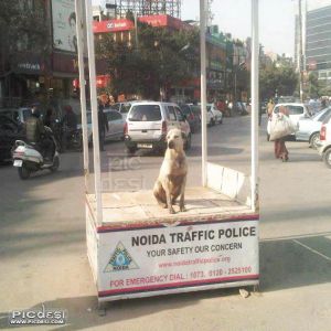 Noida Traffic Police on duty