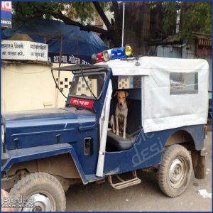 India Police Jeep
