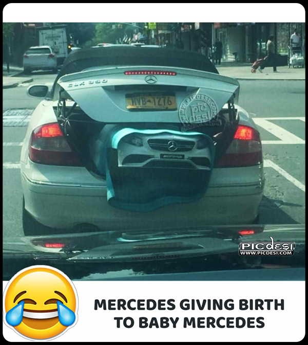 Car Funny Pic Giving Birth Funny Picture