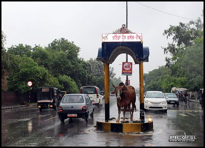 Traffic Police in Punjab Funny Pic 