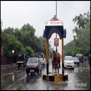 Traffic Police in Punjab Funny Pic