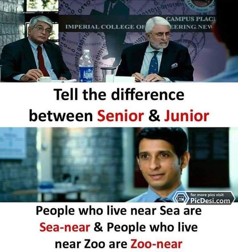Senior And Junior Difference Funny Answer Funny Picture