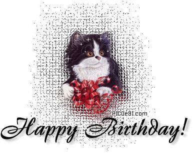 Happy Birthday Cat Ribbons Birthday Picture