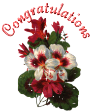 Congratulations Flower