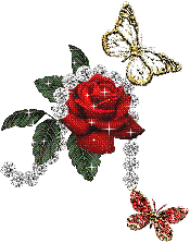 Red Rose & Butterflies Flowers Picture