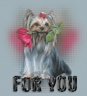 Cute Dog with Red Rose Graphic