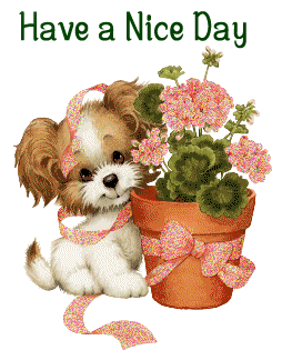 Have A Nice Day Little Dog With Flowers Good Day Picture