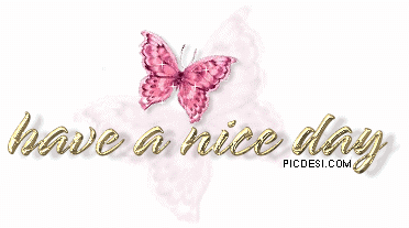 Have a Nice Day Butterfly Glitter