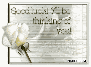 Good Luck Thinking of You Glitter Rose