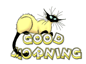Good Morning Cat Eyes Good Morning Picture