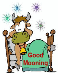 Good Morning Cow on Bed Good Morning Picture