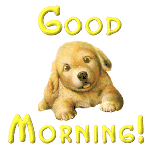 Good Morning Little Dog Good Morning Picture