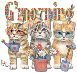 Good Morning Cute Stylish Cats Good Morning Picture