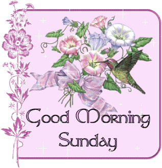 Good Morning Sunday Flowers Glitter Good Morning Picture