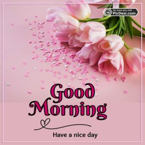 Good Morning Have A Nice Day