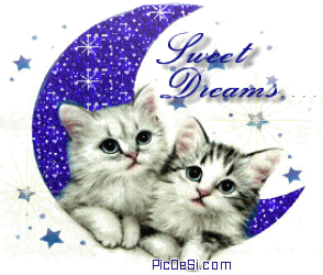 Sweet Dreams Cats Moon Glitter Good Night Picture