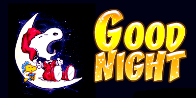 Good Night Toon on Moon Good Night Picture