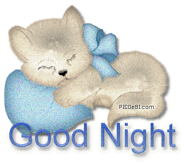Good Night Cat Sleeping Glitter Graphic