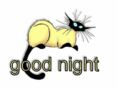 Good Night Cat Blinking Picture