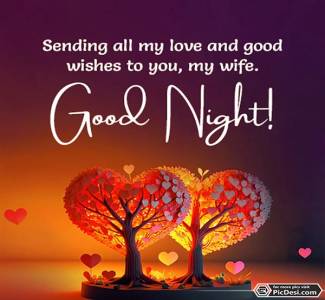 Good Night Wishes For My Wife