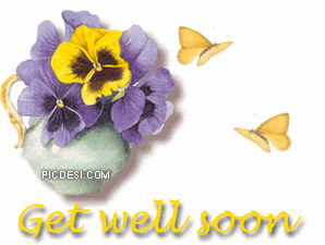 Get Well Soon Butterflies and Flower Pot Get Well Soon Picture
