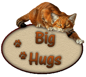 Big Hugs Cat