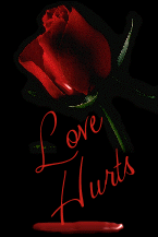 Love Hurts Rose Bleed Love Picture