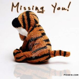 Missing You Sad Tiger Picture