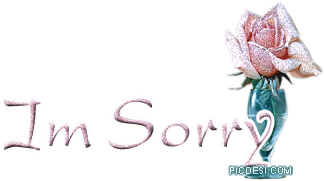 I M Sorry Rose Glitter
