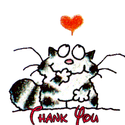 Thank You Cat Thank You Picture