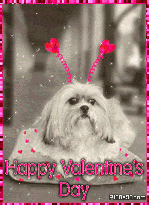 Valentines Day Dog with Hearts Graphic Valentines Day Picture