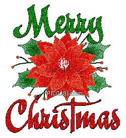 Merry Christmas Flower Glitter Christmas Picture