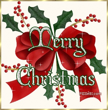 Merry Christmas Flower Glitter Christmas Picture